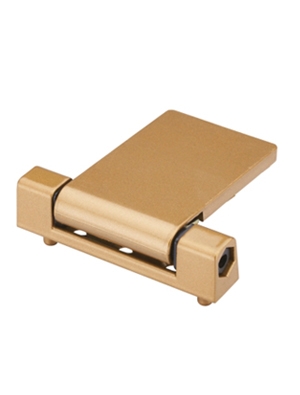 Lengthened multi-functional hinge